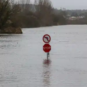 Coimbra votes today on creating accessible housing on banks of Mondego river