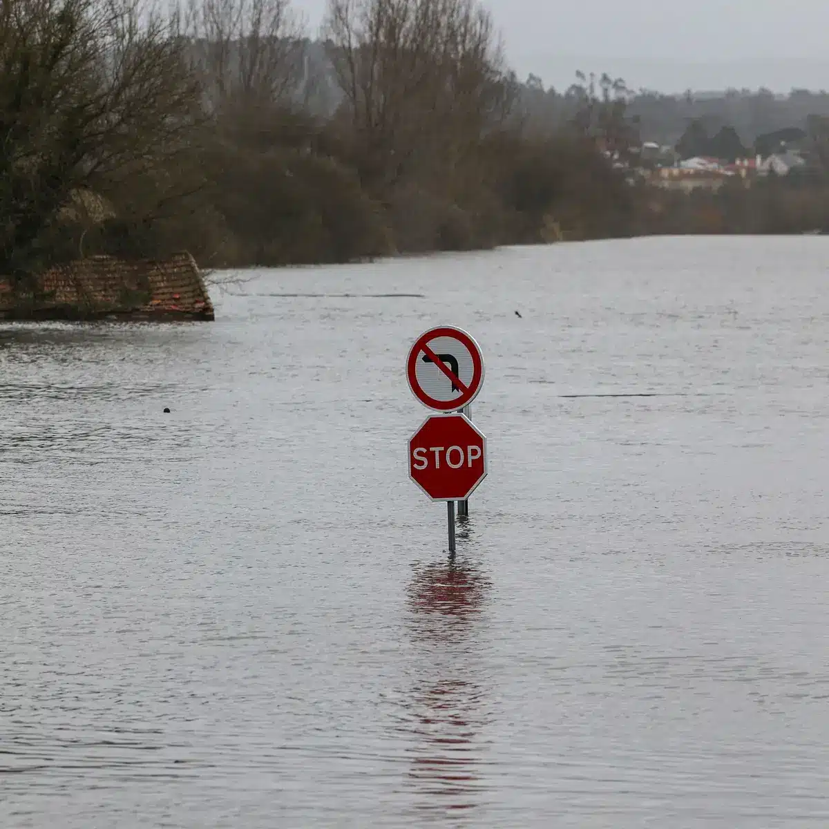 flooding in Coimbra